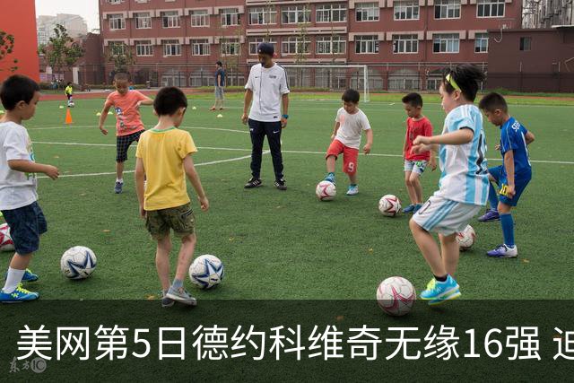 美网第5日德约科维奇无缘16强 迪米卢布列夫会师